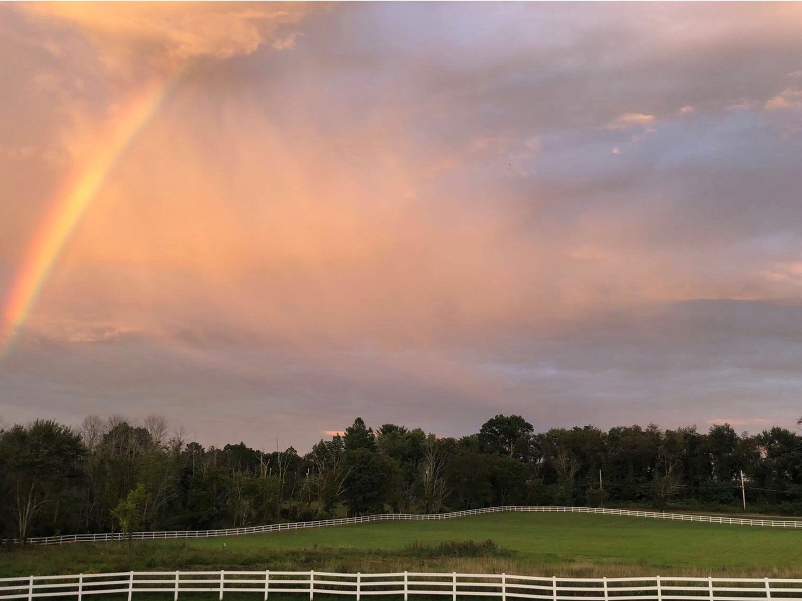 Child doing homework at the farm