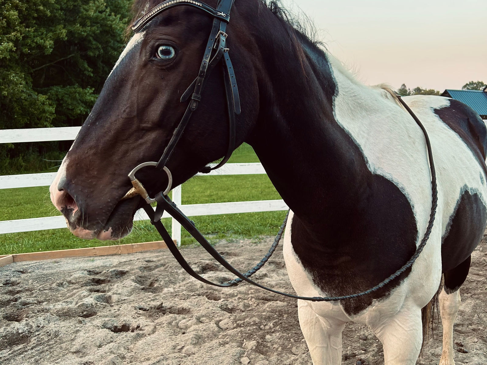 On-farm photography session