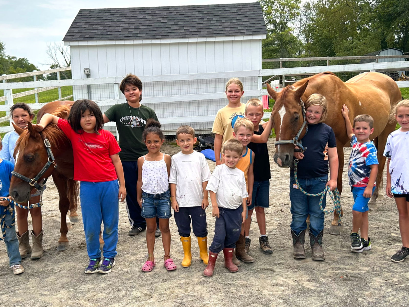 Horses in a wide pasture